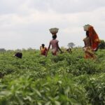 LET FARMERS BE FARMERS