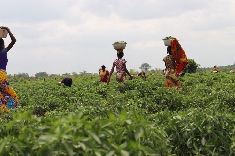 LET FARMERS BE FARMERS